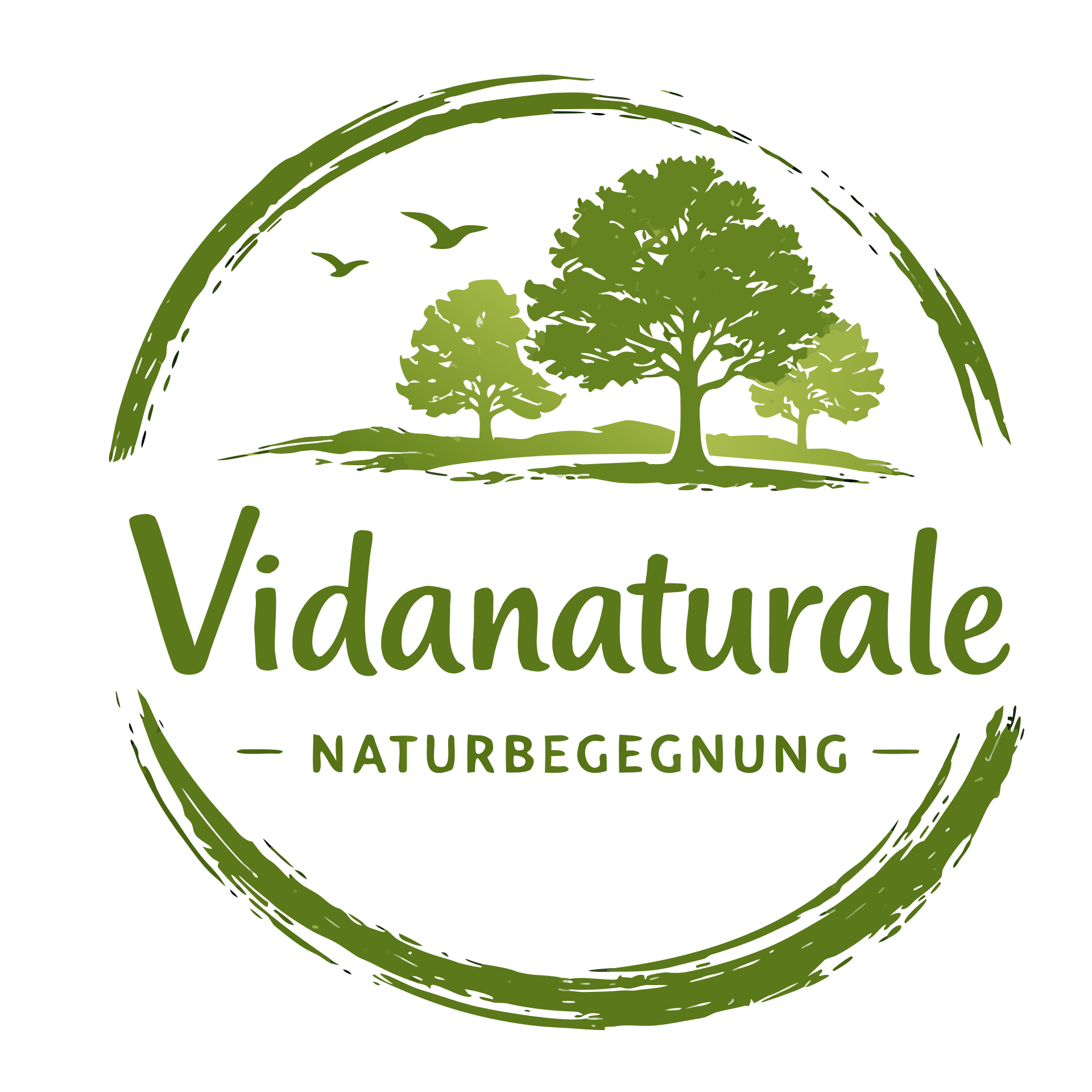 VidaNaturale Logo